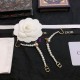 Dior Earring Dior Earring