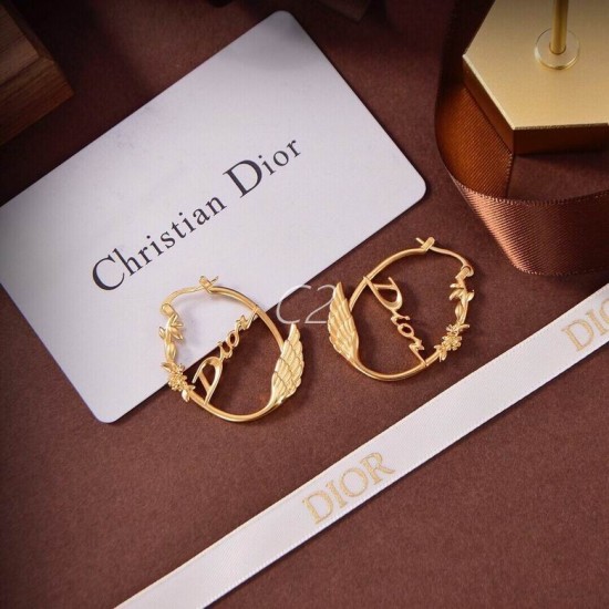 Dior Earring Dior Earring