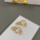 Dior Earring Dior Earring
