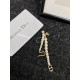 Dior Earring Dior Earring