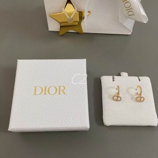 Dior Earring Dior Earring