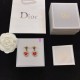 Dior Earring Dior Earring