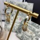 Dior Earring Dior Earring