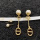 Dior Earring Dior Earring