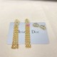 Dior Earring Dior Earring