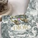 Dior Earring Dior Earring