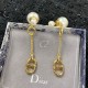 Dior Earring Dior Earring