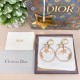 Dior Earring Dior Earring
