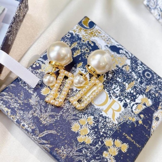 Dior Earring Dior Earring