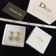 Dior Earring Dior Earring