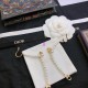 Dior Earring Dior Earring