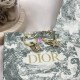 Dior Earring Dior Earring