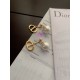Dior Earring Dior Earring