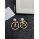 Dior Earring Dior Earring