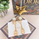 Dior Earring Dior Earring