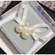 Dior Earring Dior Earring