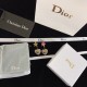 Dior Earring Dior Earring