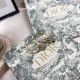 Dior Earring Dior Earring