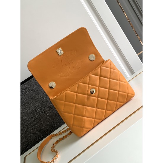 (19.5cm)(25cm) (19.5cm)(25cm)