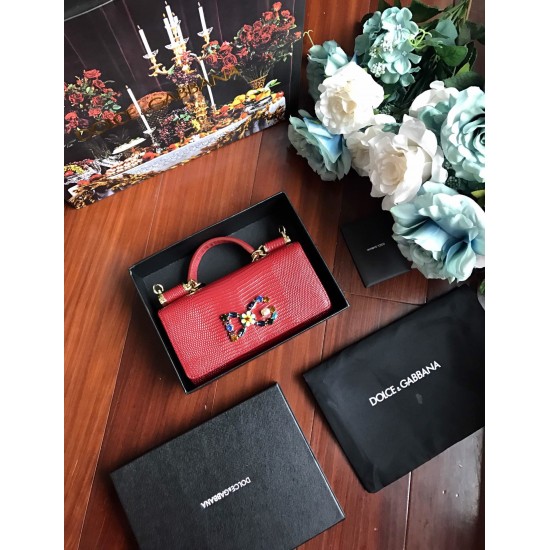 Dolce Gabbana bag SIZE:19*11*3.5cm Dolce Gabbana bag SIZE:19*11*3.5cm