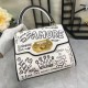 Dolce Gabbana bag SIZE:24*13*19cm Dolce Gabbana bag SIZE:24*13*19cm