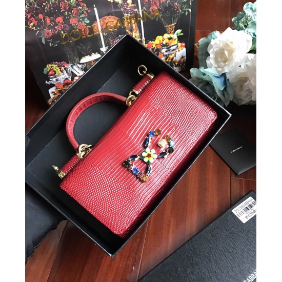 Dolce Gabbana bag SIZE:19*11*3.5cm Dolce Gabbana bag SIZE:19*11*3.5cm