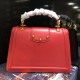 TOP Dolce Gabbana bag size:27*18*8cm TOP Dolce Gabbana bag size:27*18*8cm