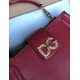 Dolce Gabbana bag SIZE:28*23*12cm Dolce Gabbana bag SIZE:28*23*12cm