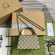 GUCCI 752029 GUCCI 752029