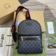 GUCCI 771164 GUCCI 771164