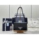 PD P*ADA Bag Top Version $420 PD P*ADA Bag Top Version $420