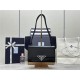 PD P*ADA Bag Top Version $420 PD P*ADA Bag Top Version $420
