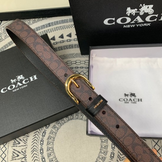 y12270 蔻家高品质 2.5cm 高真空电镀五金 女士腰带 针扣 头层牛皮