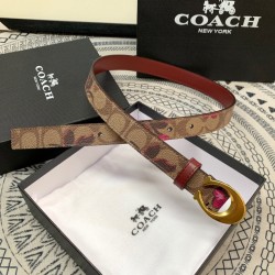 y12270 蔻家高品质 2.5cm 高真空电镀五金 女士腰带 经典c扣。头层牛皮