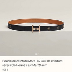 ❤️新款❤️ MORS H 精品五金 搭配进口epsom皮 宽度24MM Hermes女款腰带以其精湛工艺高品质材料和经典设计备受推崇 是女士腰带顶级选择 简约大气 产品手感细腻 不仅是实用配饰 更能