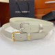 DG Belts
Top Quality DG Belts
Top Quality