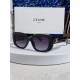 Celine Glasses Celine Glasses