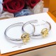 LV Jewelry Earrings LV Jewelry Earrings