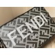 Fendi Bags Camera bag Top Quality Fendi Bags Camera bag Top Quality