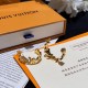 LV Jewelry Earrings LV Jewelry Earrings