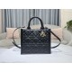 Dior Bags Top Tote Dior Bags Top Tote