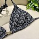 Dior Swimsuit