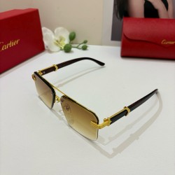 Cartier Glasses