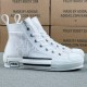 Dior Shoes Top Quality
B23 Oblique Dior Shoes Top Quality
B23 Oblique