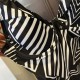 Chanel Swimsuit Chanel Swimsuit