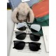Gucci Glasses