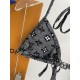 LV Swimsuit LV Swimsuit