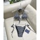 LV Swimsuit LV Swimsuit