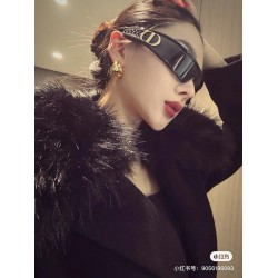 Dior Glasses