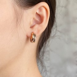 Cartier Jewelry Earrings